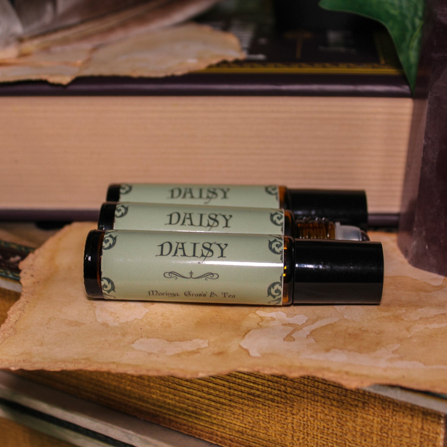 Daisy | Merrill's Blend
