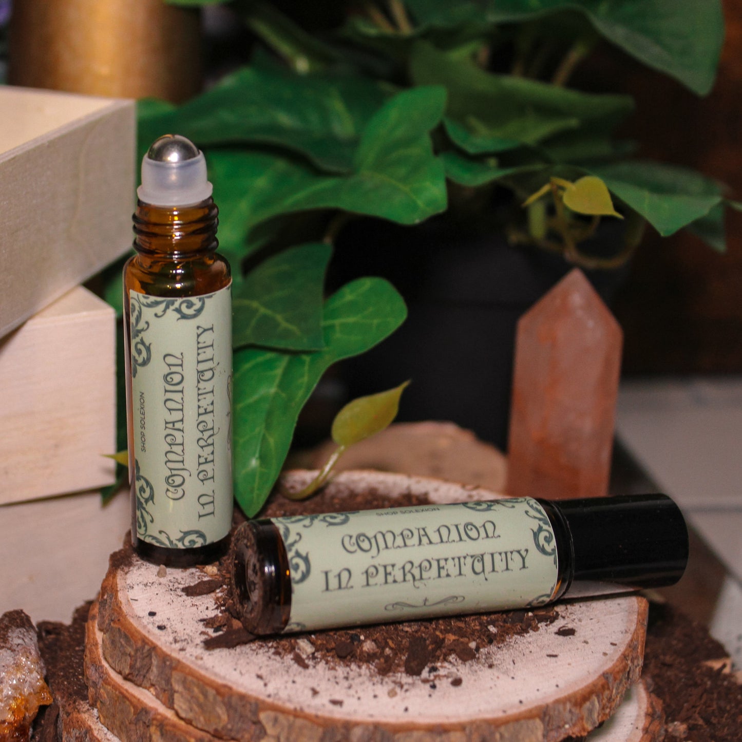 Companion in Perpetuity | Varric's Blend